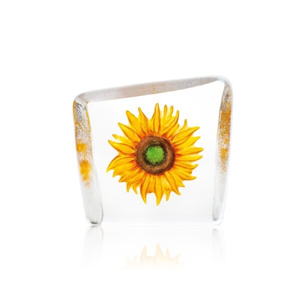 Tournesol - 33869